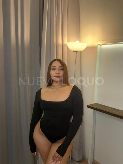 NuevoLoquo2
