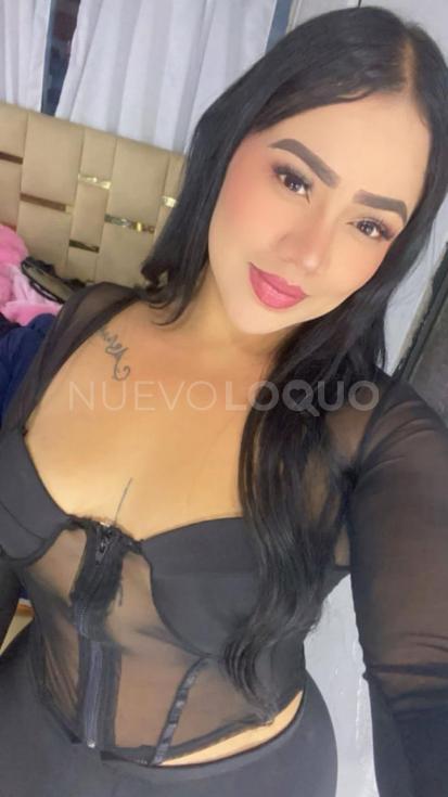 NuevoLoquo2