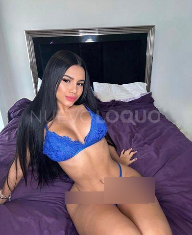 NuevoLoquo3