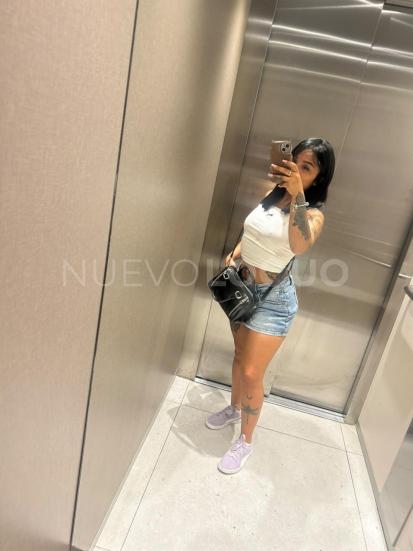 NuevoLoquo3