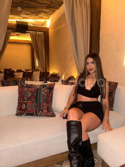 NuevoLoquo3