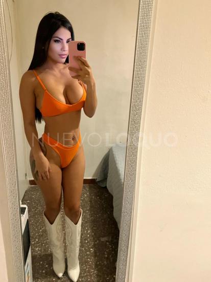 NuevoLoquo3