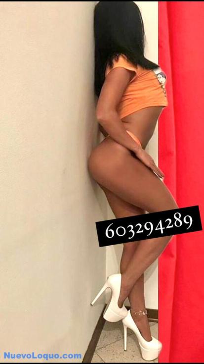 NuevoLoquo4