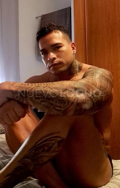 NuevoLoquo4