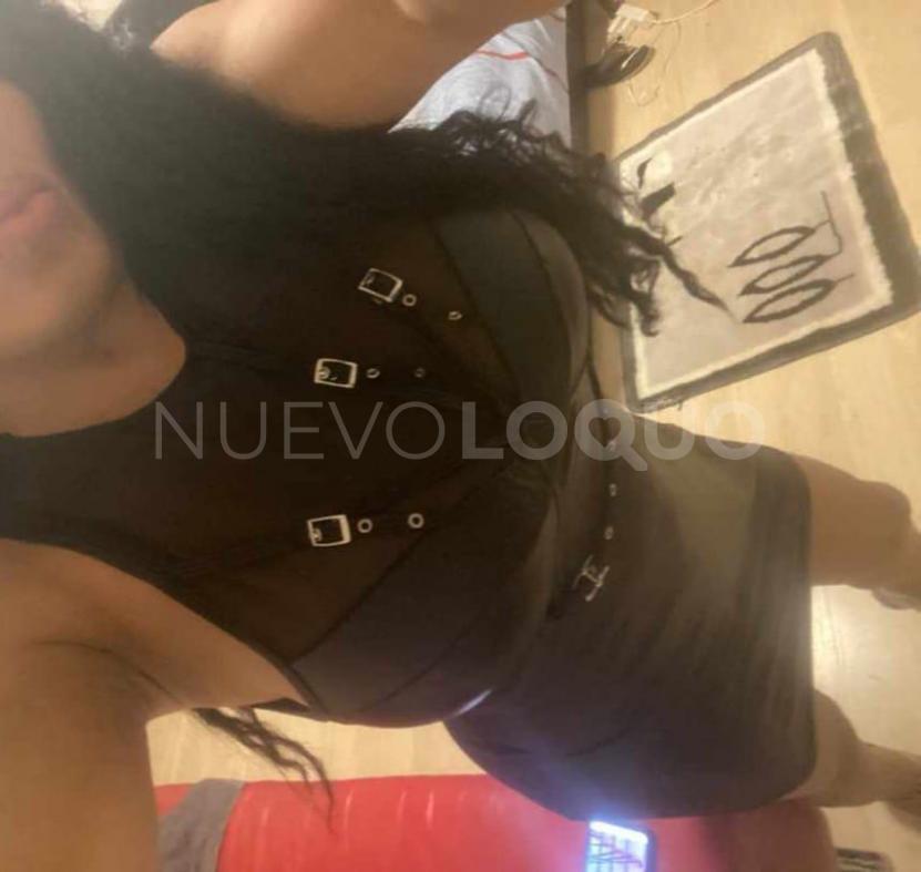 NuevoLoquo4