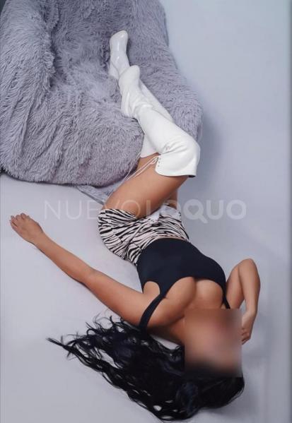 NuevoLoquo2