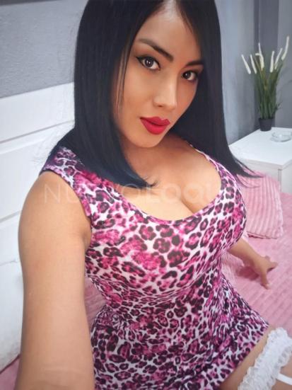 NuevoLoquo1