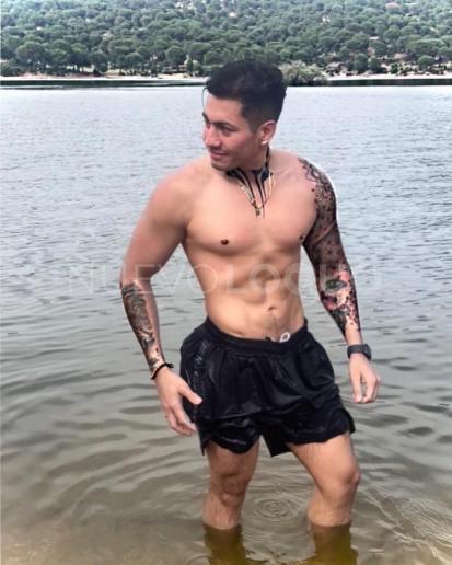 NuevoLoquo1