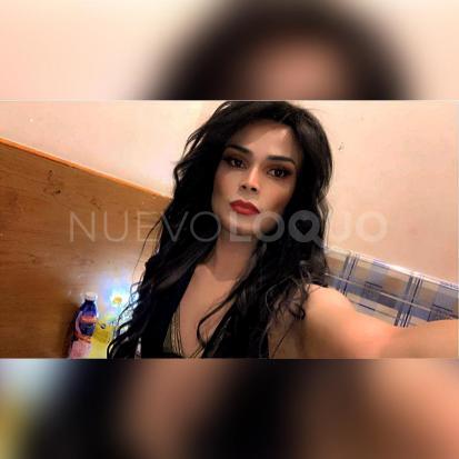 NuevoLoquo3
