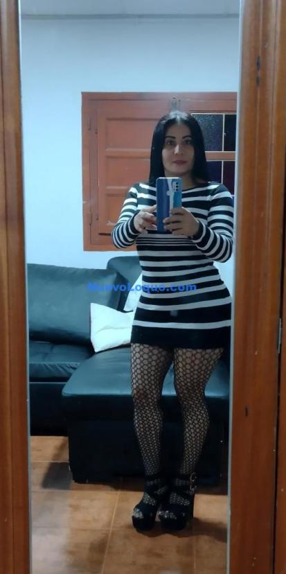 NuevoLoquo3