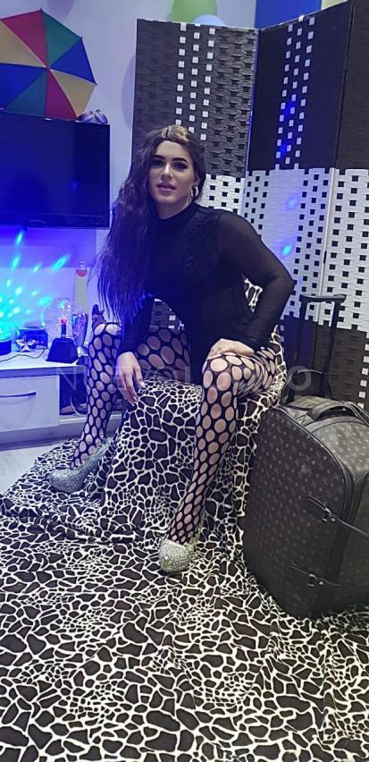 NuevoLoquo1