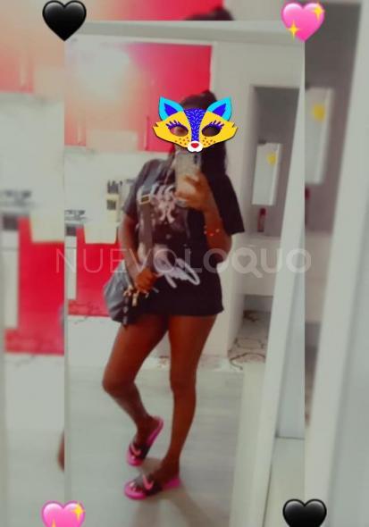NuevoLoquo3