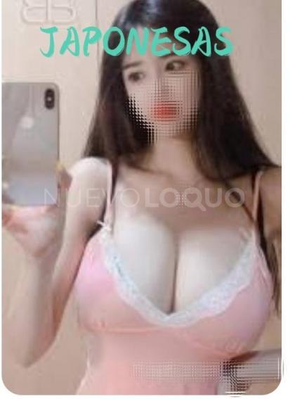 NuevoLoquo2