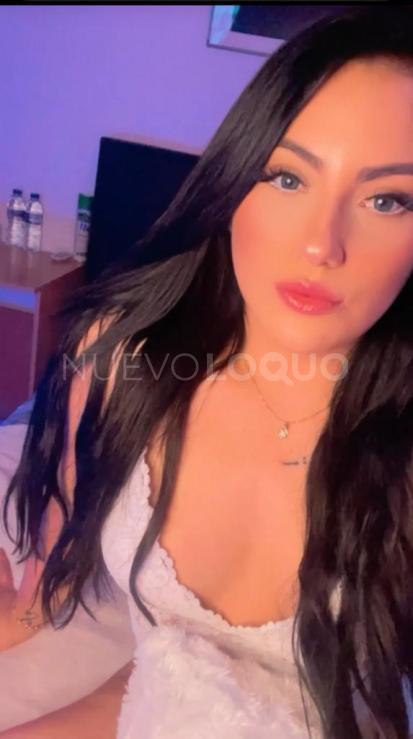 NuevoLoquo2