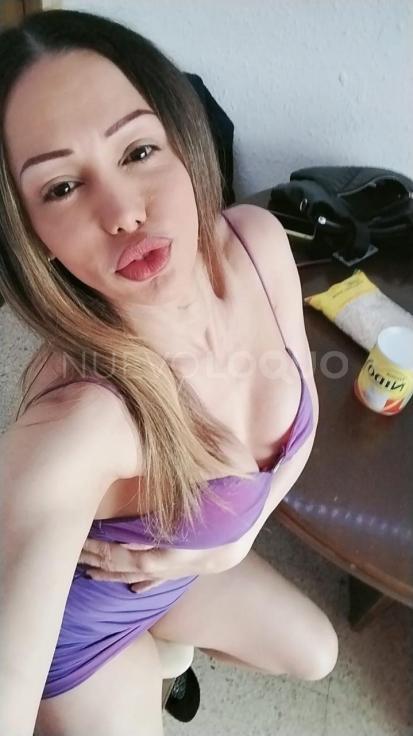 NuevoLoquo5