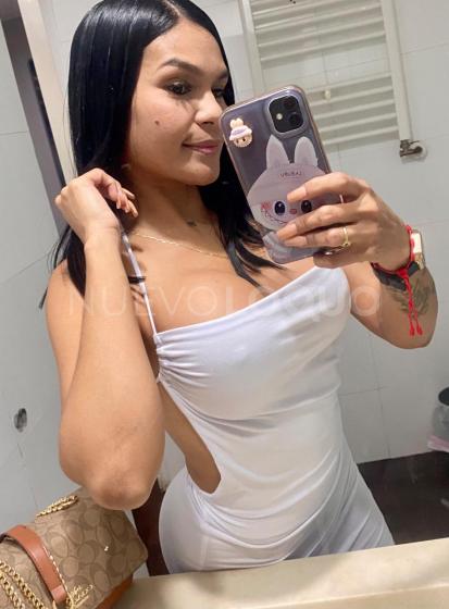 NuevoLoquo3