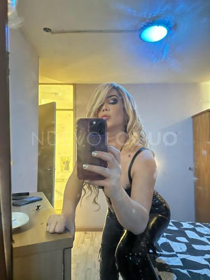 NuevoLoquo2