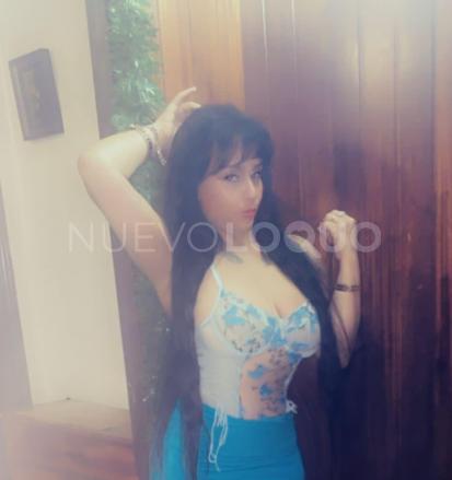 NuevoLoquo2