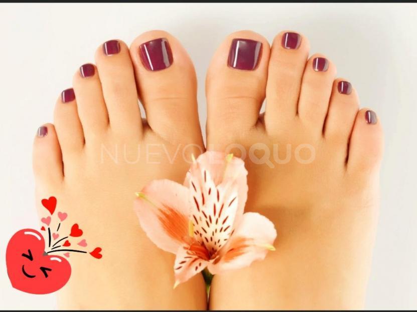 NuevoLoquo1