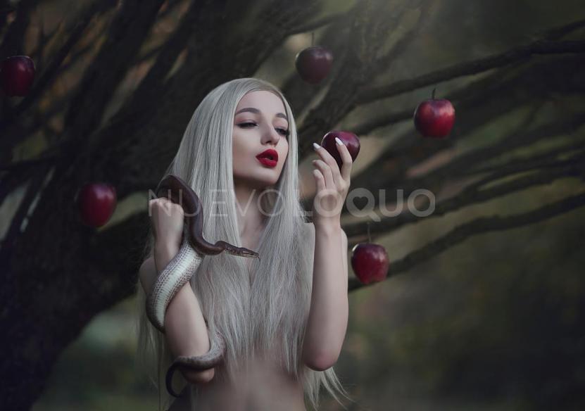 NuevoLoquo1