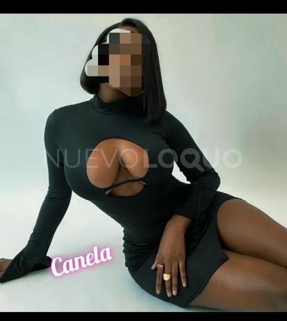 NuevoLoquo2