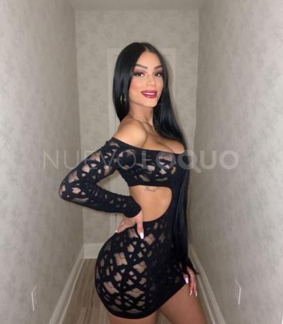  Novedad mis amores latina trans colombia