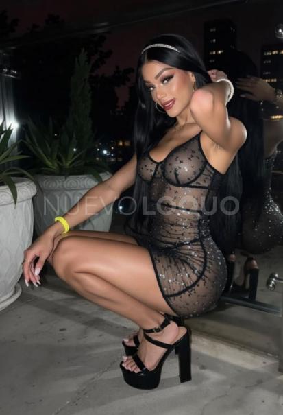  Novedad mis amores latina trans colombia
