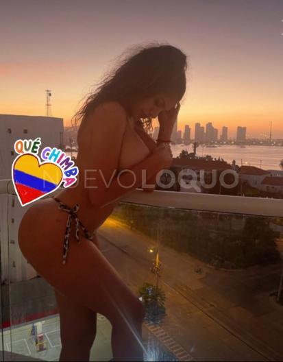 NuevoLoquo2