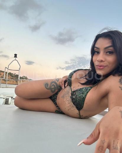 NuevoLoquo2