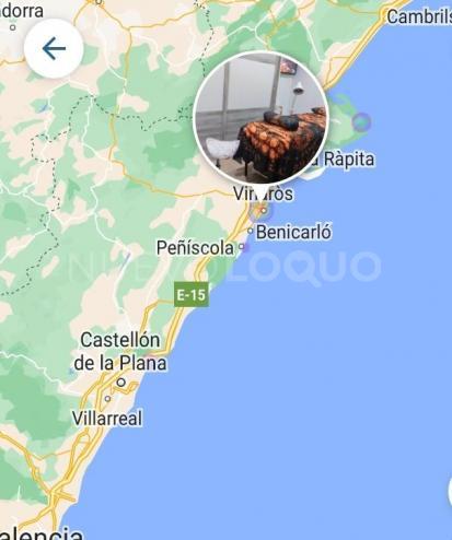 NuevoLoquo0