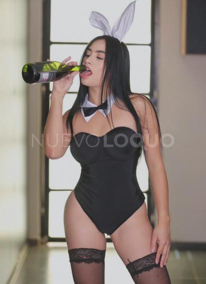NuevoLoquo3