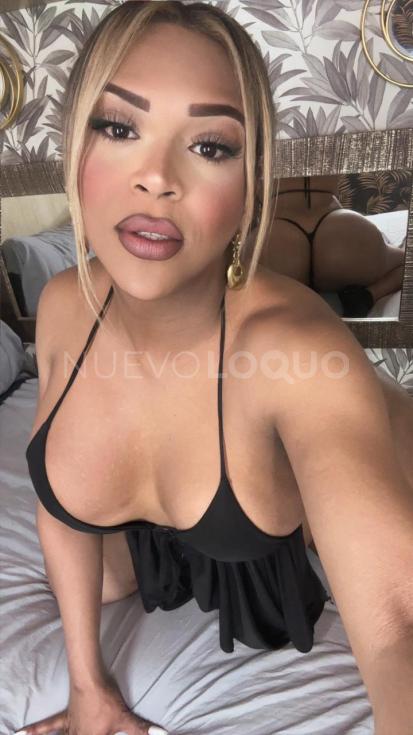 NuevoLoquo3