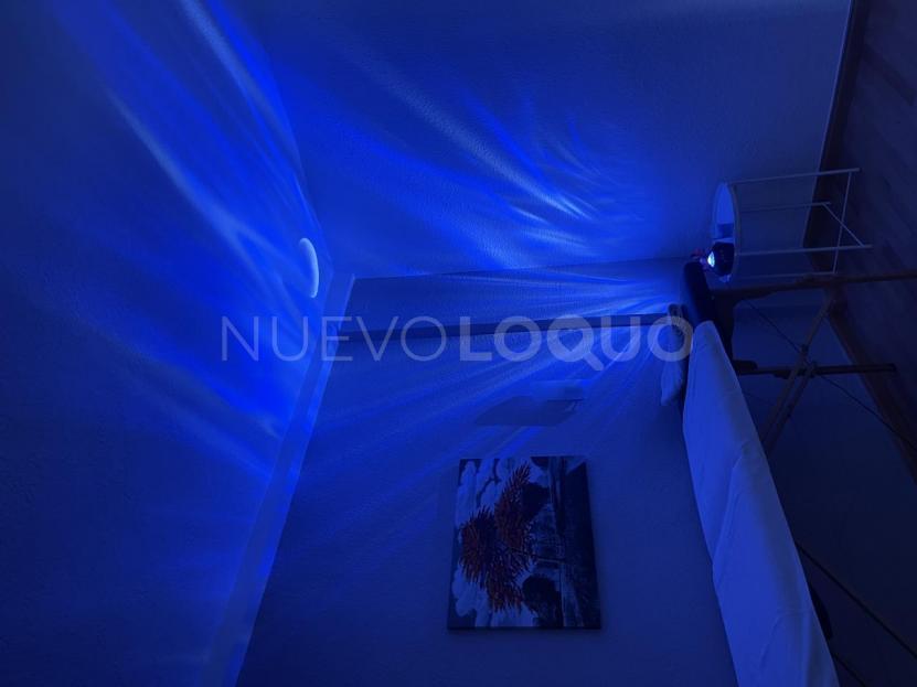 NuevoLoquo2