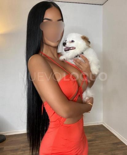 NuevoLoquo1