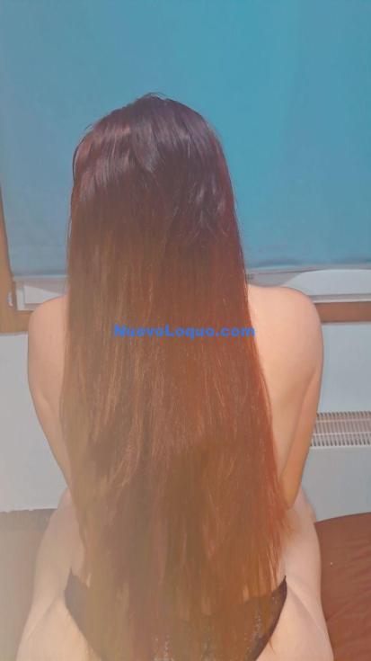 NuevoLoquo2