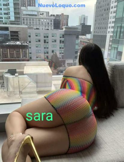 NuevoLoquo3