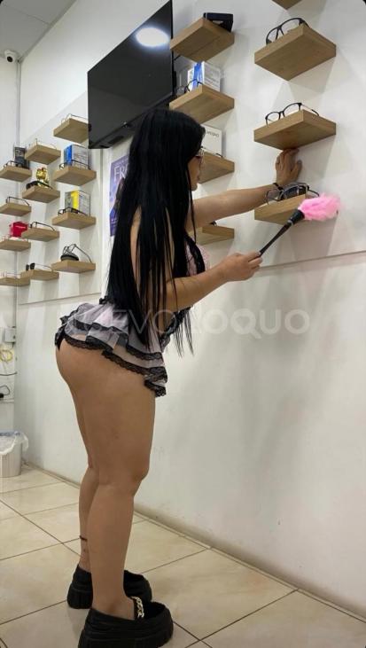 NuevoLoquo2