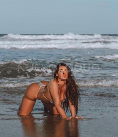 NuevoLoquo1