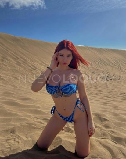 NuevoLoquo0