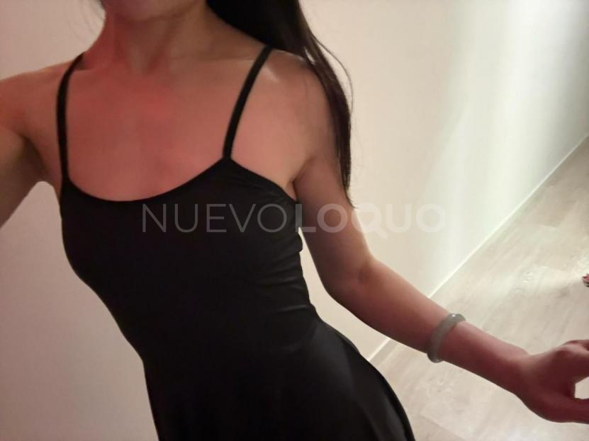 NuevoLoquo2