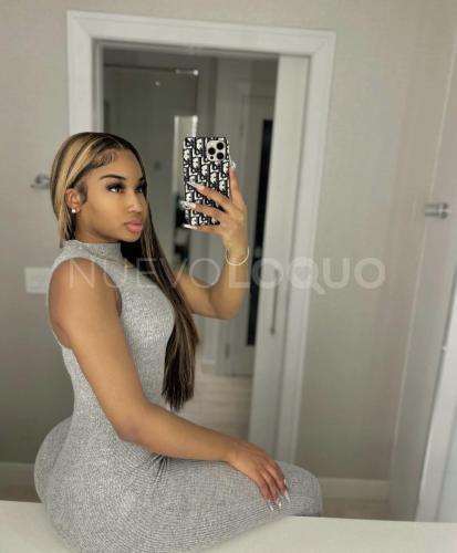 NuevoLoquo2