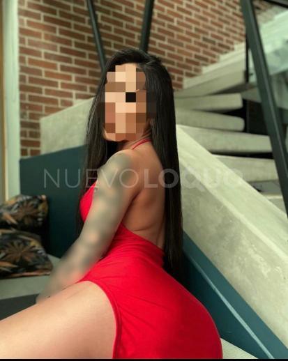 NuevoLoquo2