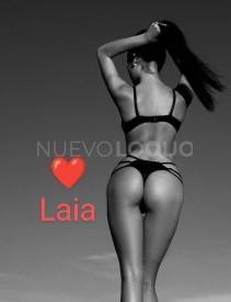 NuevoLoquo2
