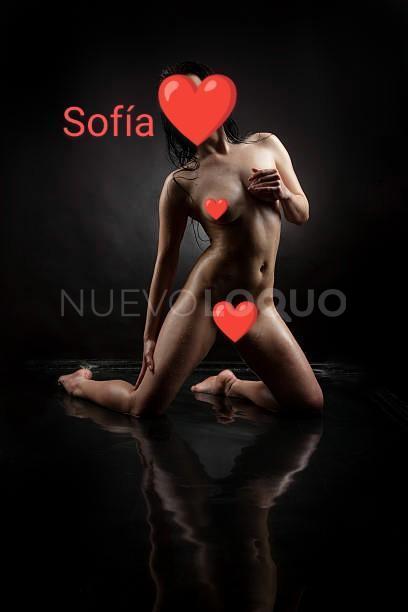 NuevoLoquo4