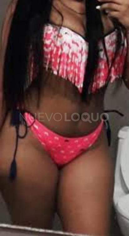 NuevoLoquo2