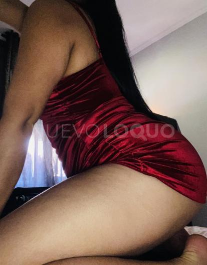 NuevoLoquo2