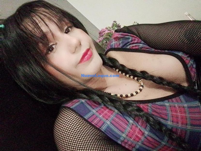 NuevoLoquo3