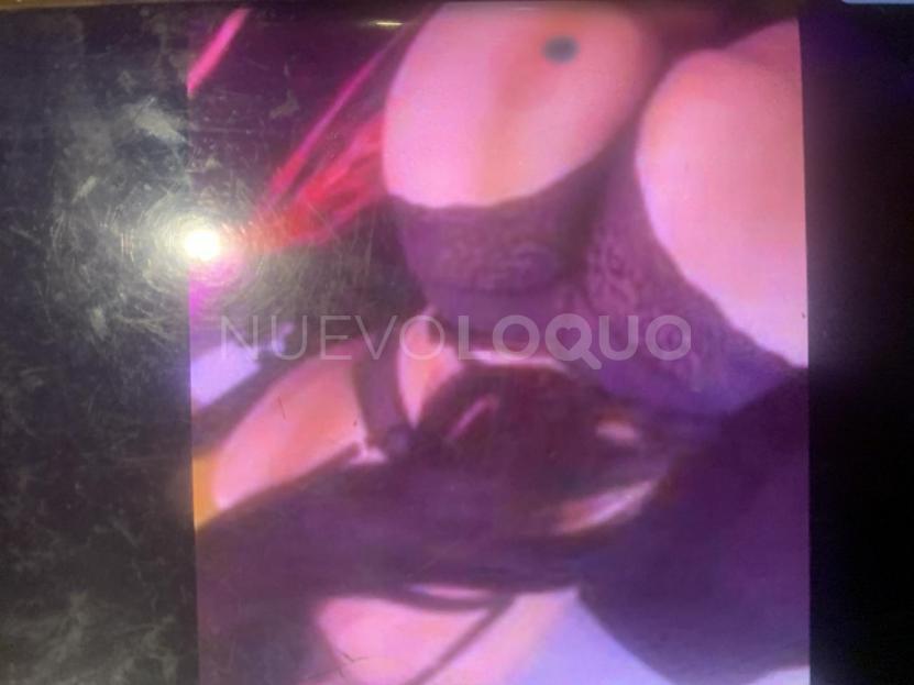 NuevoLoquo1