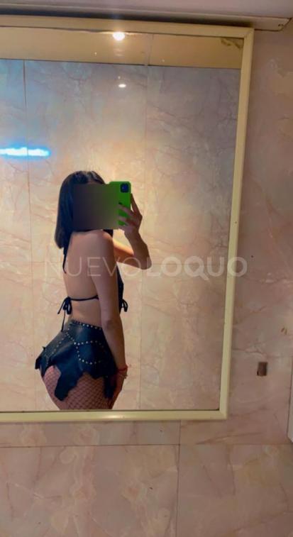NuevoLoquo3