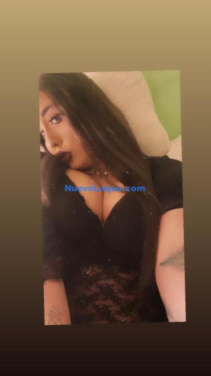 NuevoLoquo3